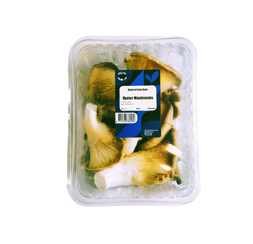 Ostronskivling Grå 200g Nederländerna