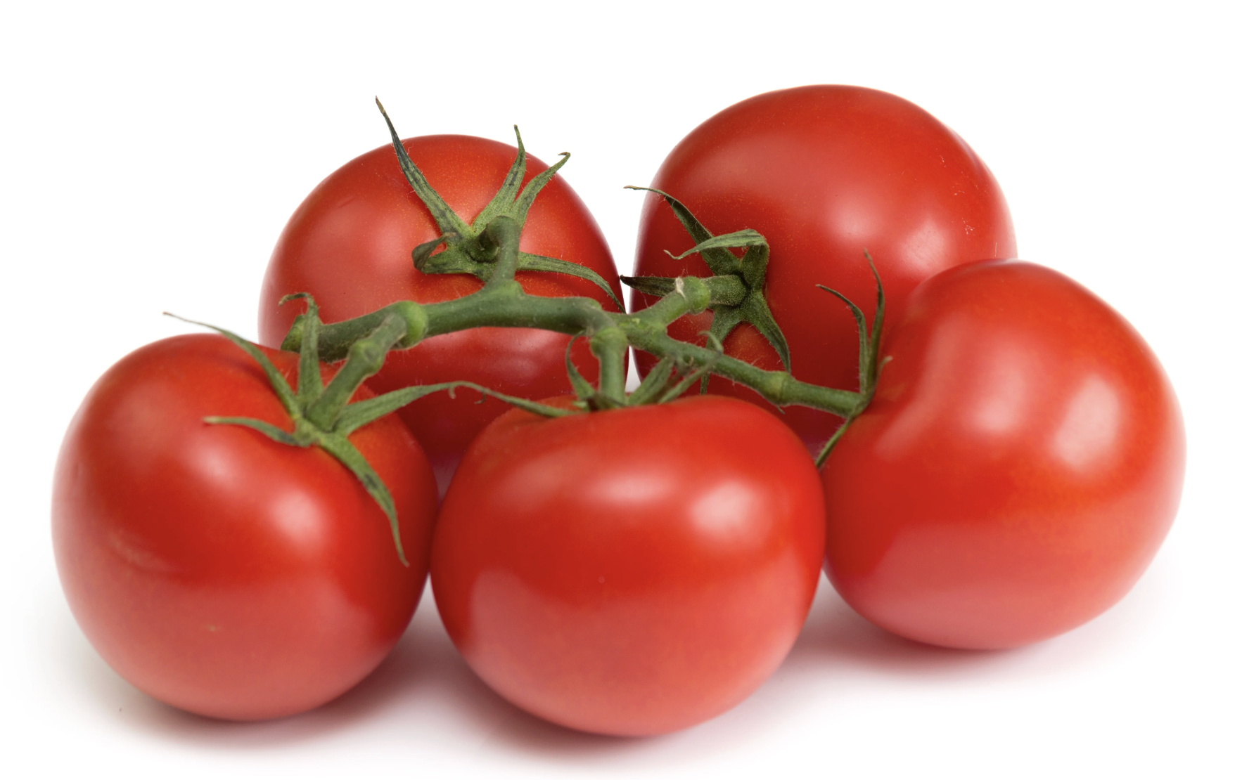 Kvisttomater 5kg Nederländerna